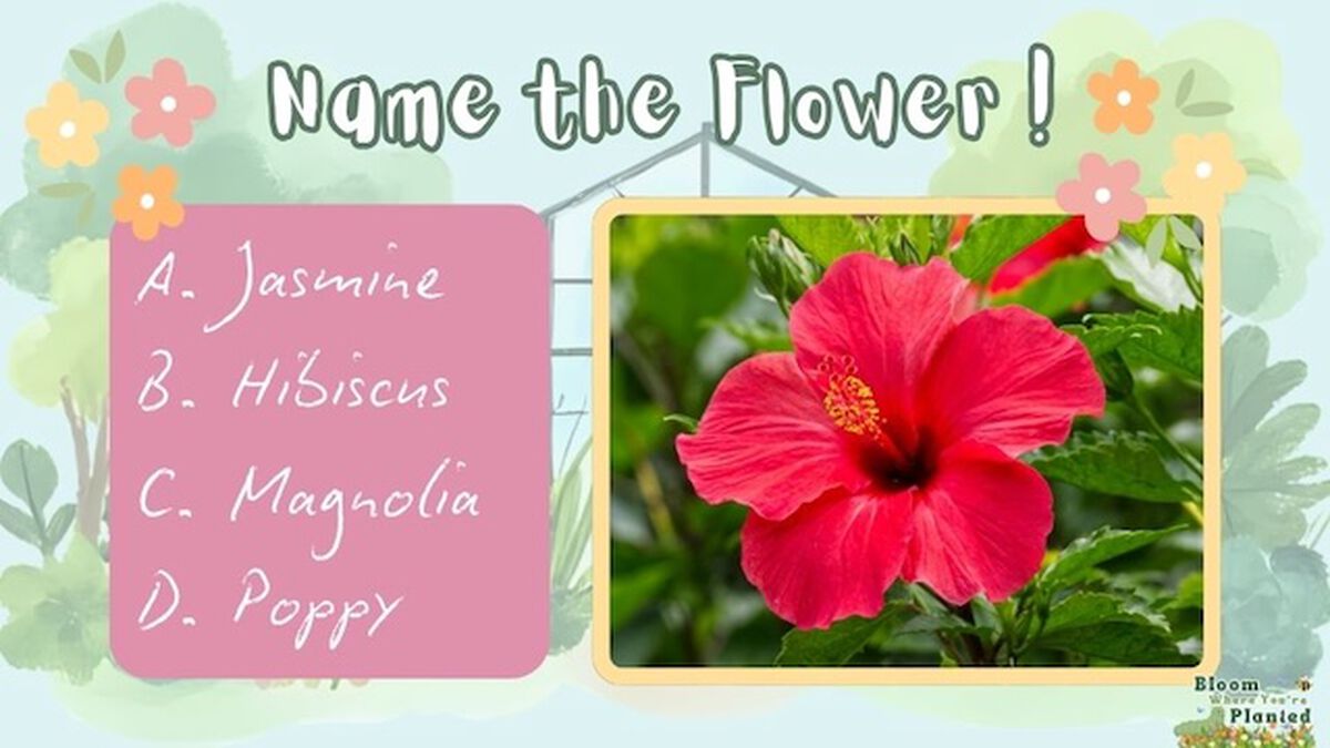 Bloom Where You're Planted image number null